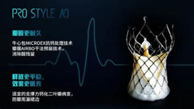 經(jīng)導(dǎo)管主動脈瓣膜系統(tǒng)（金仕生物）